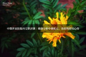 中醫世家壯陽丹中藥材保健產品